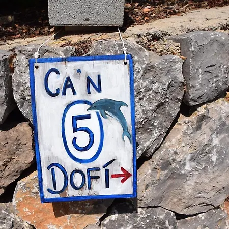Can Dofi *